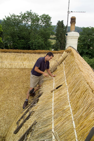 Barnstaple Thatching